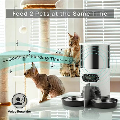 Revolutionary Smart APP Pet Feeder: Automatic Stainless Steel Dispenser for Cats and Dogs with Voice Recording and Timed Feeding
