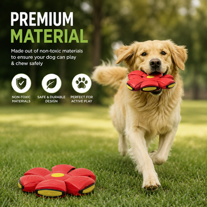 Pawprints Dog Frisbee