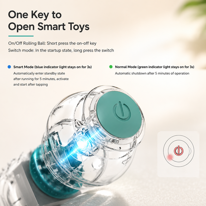Pawprints Interactive Ball
