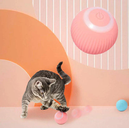 Pawprints Interactive Ball